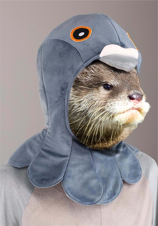 The Invite that Sparked this Otter Chaos – A Story of Ace